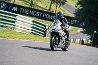 Advanced Group White Bikes